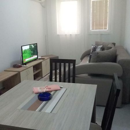 Apartman Jevtić 1 Gornja Toplica Zewnętrze zdjęcie